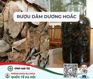 rượu Dâm Dương Hoắc - bài thuốc đông y trị xuất tinh sớmrượu Dâm Dương Hoắc - bài thuốc đông y trị xuất tinh sớm