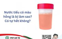 Nước tiểu có màu hồng