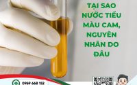 Tại sao nước tiểu màu cam, nguyên nhân do đâu